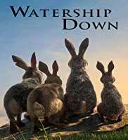 Agbaje gave his voices in movies and TV shows like in an animated movie Bilal (2016), Major Lazer (TV series: 2015)  and Watership Down (TV series 201